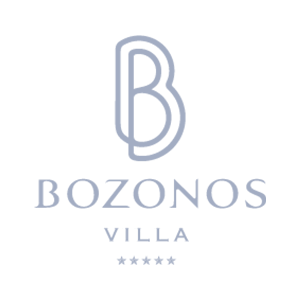 BOZONOS